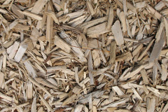 biomass boilers Carluke